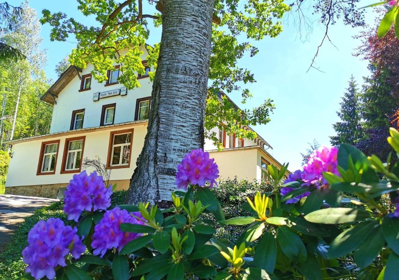 Pension Haus Anna Altenberg  Exterior foto